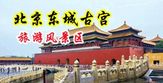 日韩肉色丝袜大鸡吧肏视频系列中国北京-东城古宫旅游风景区